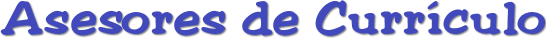 Asesores de Currículo